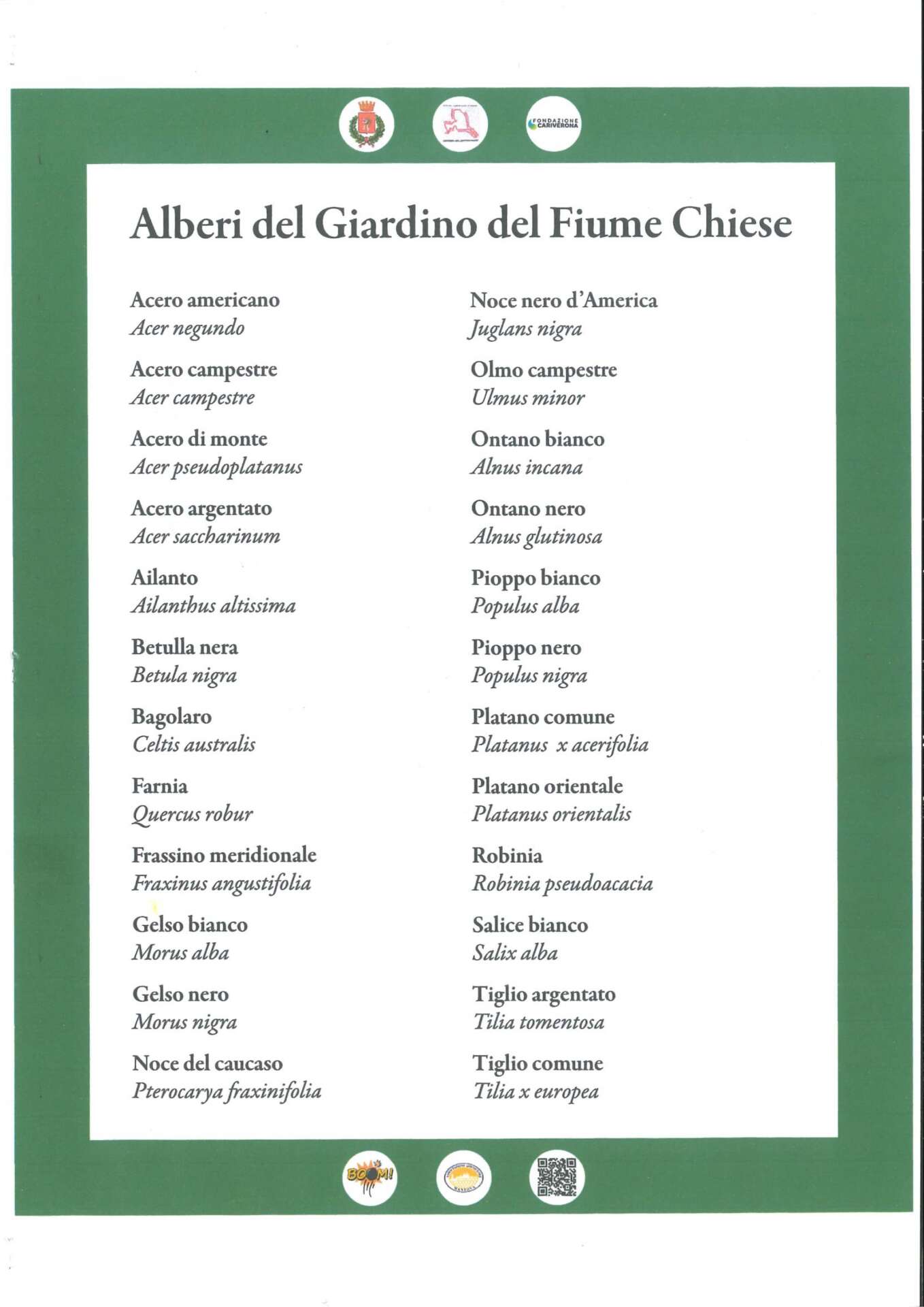 20240921104224218_page-0002