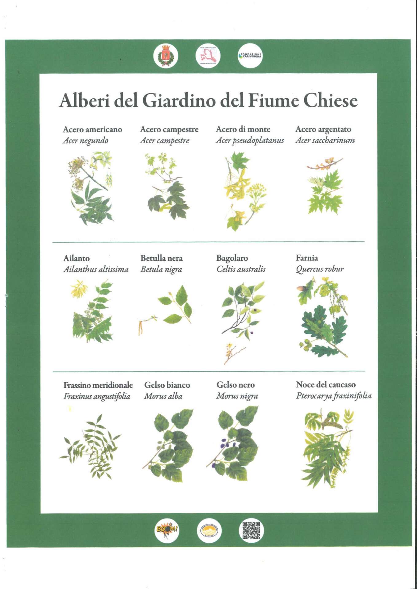 20240921104224218_page-0004