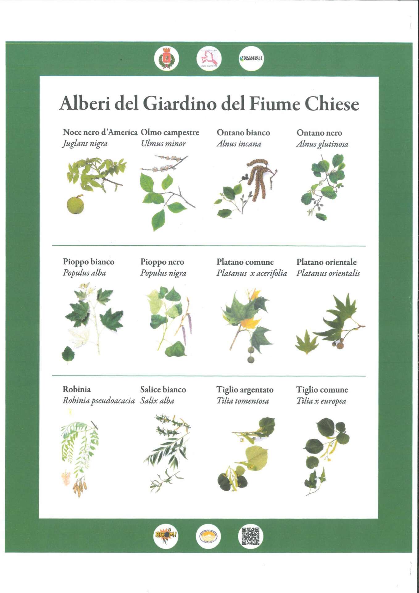 20240921104224218_page-0005